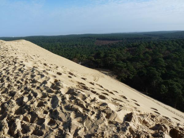 LA DUNE DU PILA