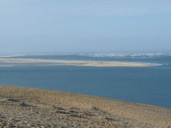 LE BANC D'ARGUIN