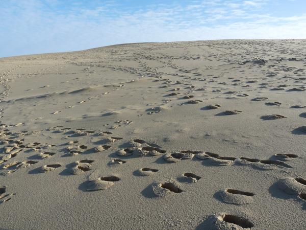 LA DUNE DU PILA
