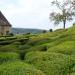 Marqueyssac