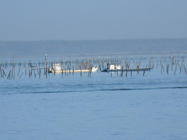 BASSIN D'ARCACHON